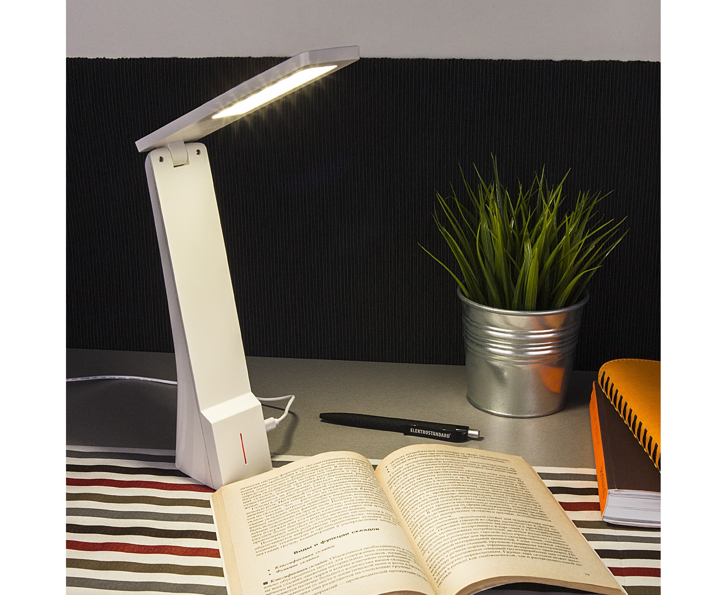 Настольный светодиодный светильник Elektrostandard Desk белый/серебряный tl90450